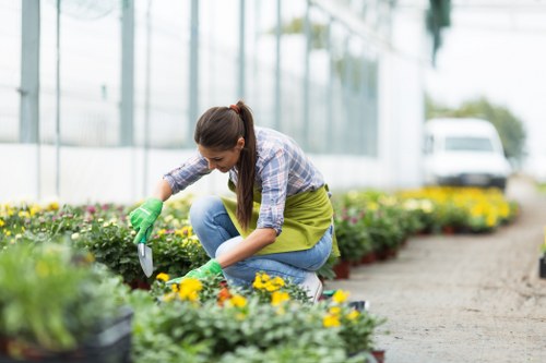 Inspector reviewing garden work during a complaint investigation