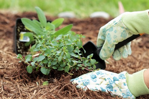 Eco-friendly garden clearance practices