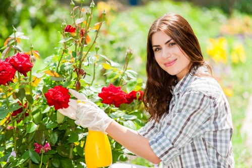 Garden clearance benefits and safety