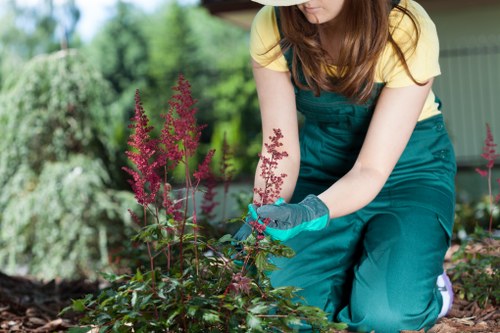 Team clearing an overgrown courtyard garden in urban setting