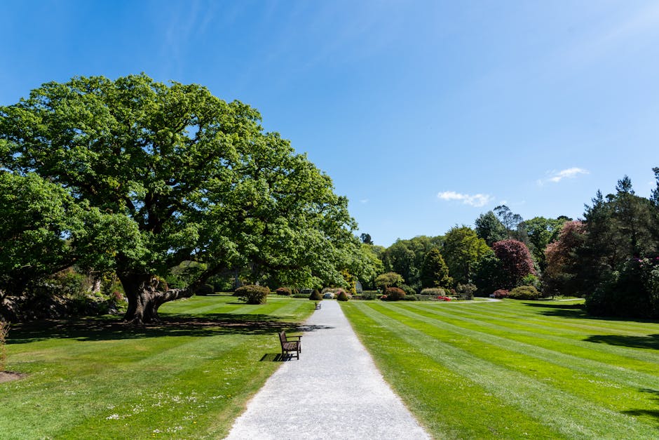A tall, mature tree with a wide, branching structure and a mixture of bare limbs and sparse foliage stands prominently in a suburban garden in Honor Oak. To the right, a vibrant green willow tree with